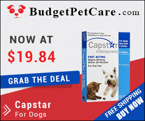 Capstar is the fastest flea killer that eliminates almost 100% adult fleas in a short span of 5-7 hours. Get this efficient oral tablet at cheapest price from budgetpetcare.com.