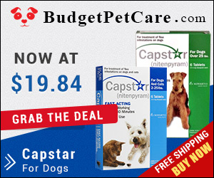Capstar is the fastest flea killer that eliminates almost 100% adult fleas in a short span of 5-7 hours. Get this efficient oral tablet at cheapest price from budgetpetcare.com.