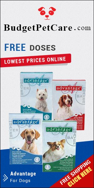Advantage is a fast action flea treatment for dogs. Easy to apply, this topical solution kills almost 100% fleas within 12 hours. Order Advantage from budgetpetcare.com to get big discounts!