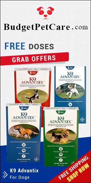 K9 Advantix is an ultimate solution to keep your dog safe from fleas, ticks and mosquitoes. This spot-on solution also repels parasites found in the surrounding. Order a pack from budgetpetcare.com and save big!