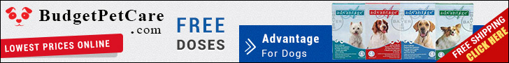 Advantage is a fast action flea treatment for dogs. Easy to apply, this topical solution kills almost 100% fleas within 12 hours. Order Advantage from budgetpetcare.com to get big discounts!