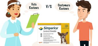 Simparica Chewables for Dogs: Vets V/S Customers Reviews
