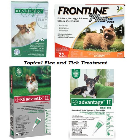 How Effective Are Topical Flea and Tick Treatment for Pets?