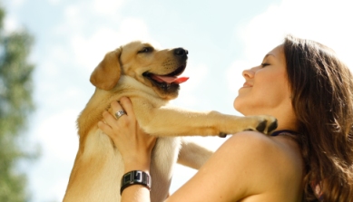 Pet Allergies – Causes, Symptoms and Treatment