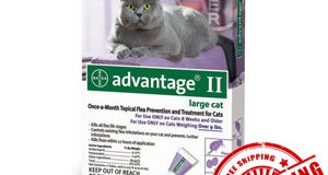 Welcome to the virtual reception desk for Advantage ii For Cat!