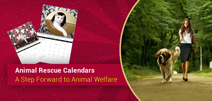 Animal-Welfare-Calendars