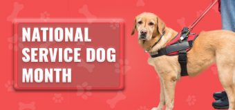 September – The National Service Dog Month