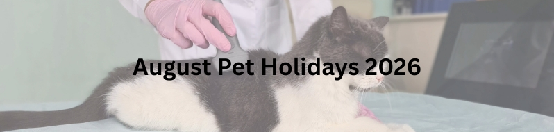 Pet Holidays in August 2026