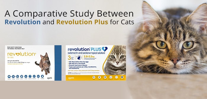 comparative study between revolution and revolution plus for cats