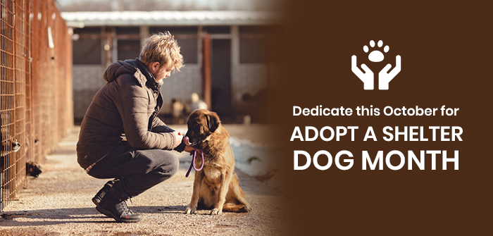 Adopt a Shelter Dog Month