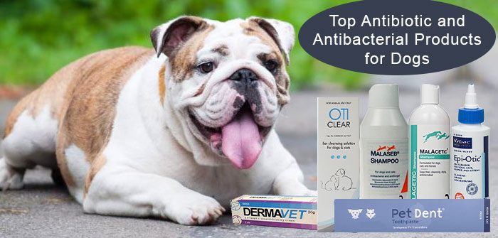 antibiotic and Antibactorial treatment for dogs