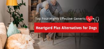 Best Generic Heartgard Plus treatments Available in Market for Dogs
