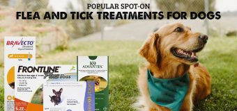Popular Spot-On Flea and Tick Treatments For Dogs