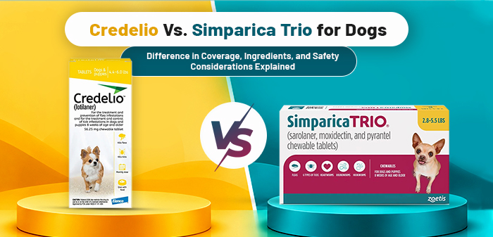 Credelio vs Simparica Trio for Dogs 