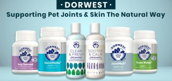 Dorwest – Supporting Pet Joints & Skin The Natural Way