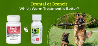 Drontal Puppy Worming Suspension Or Droncit Tapewormer, Which Worm Treatment is Better?