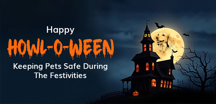 Halloween pet safety tips 