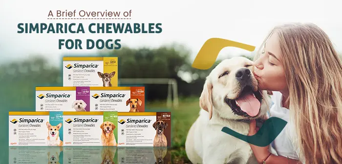 Simparica trio for dogs: vet vs customer reviews