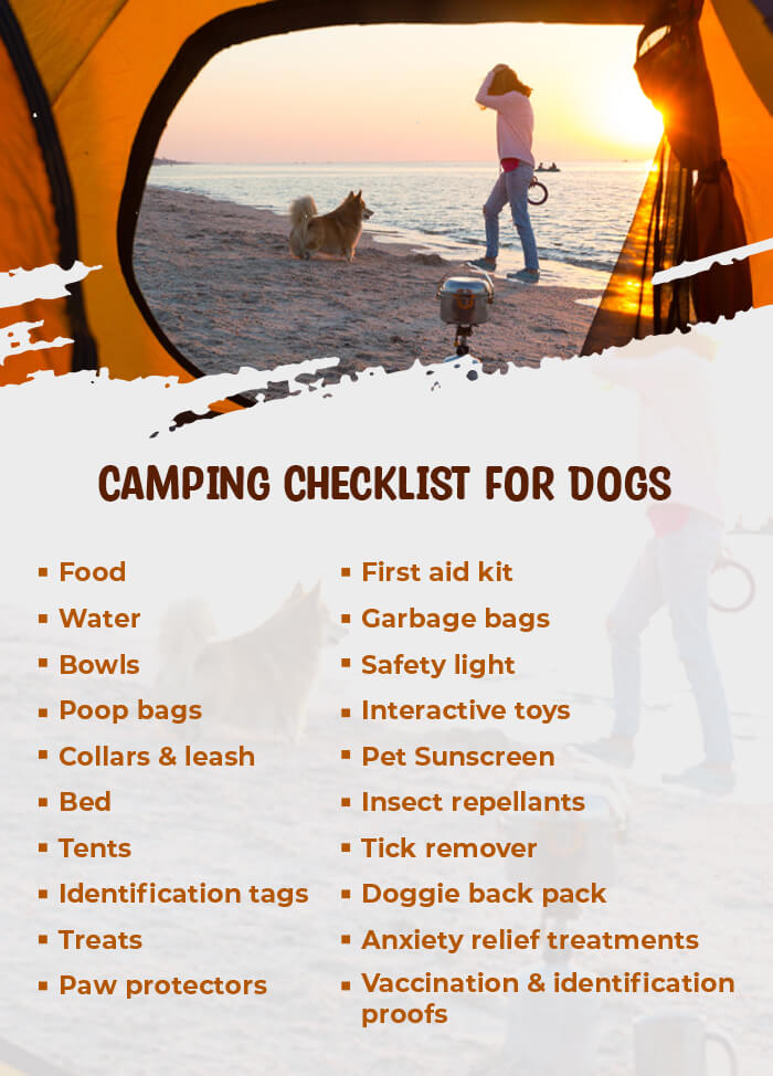 A full checklist of essential things for camping with your pets