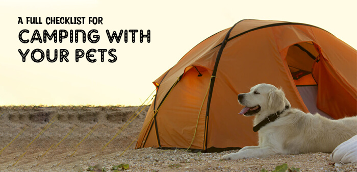 pack these essentials for camping with your pets