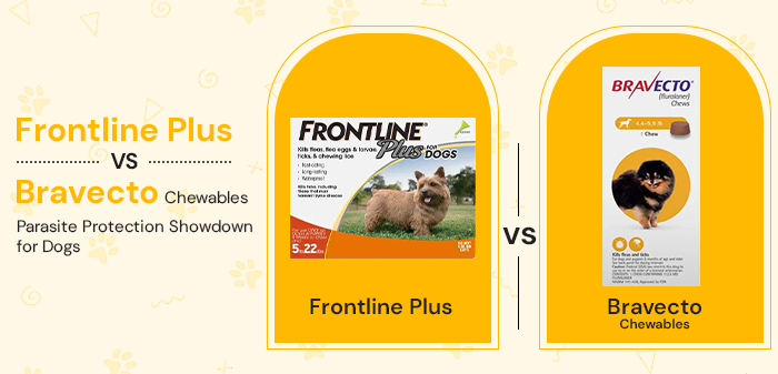 frontline plus vs bravecto chewable