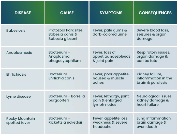 Types of Tick-borne Diseases in Dogs