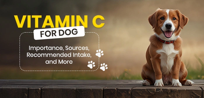 Vitamin C for dogs