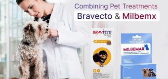 Combining Pet Treatments – Bravecto and Milbemax