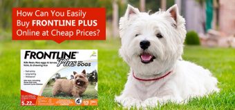 Cheapest Place to buy Frontline Plus?