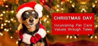 Christmas Day- Inculcating Pet Care Values through Tales