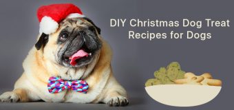 DIY Christmas Dog Treat Recipes for Dogs