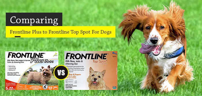 Frontline Plus v/s Frontline Top Spot for Dogs