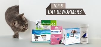 What are the Best dewormers for Cats?