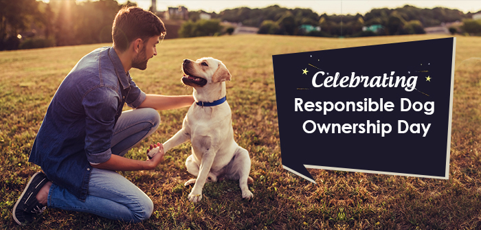 Responsible Dog Ownership Day