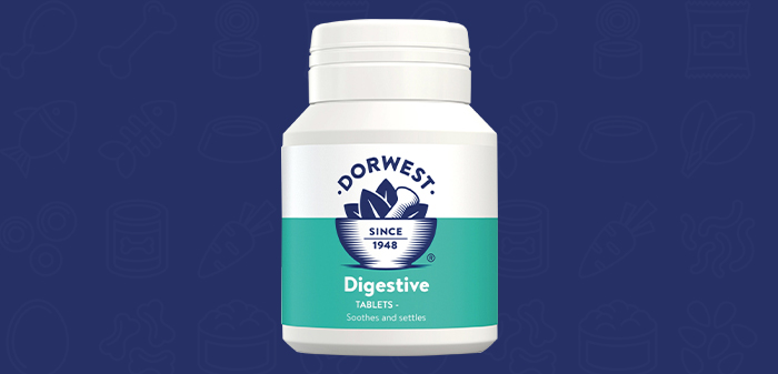 Dorwest Digestive tablets for Cats to support digestive health which is available on BudgetPetCare