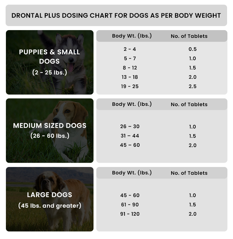 Drontal Plus for Dogs: Is it an Effective Dewormer?