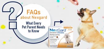 FAQs about Nexgard: What Every Pet Parent Needs to Know