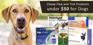 best budget flea treatment for dogs