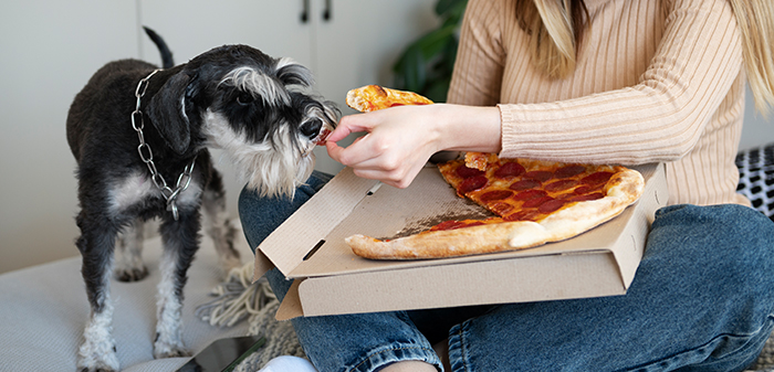 Foods to avoid and protect you furry friends while celebration