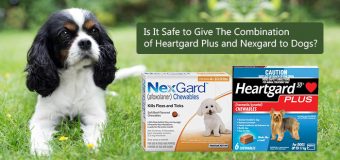 Can you give NexGard and Heartgard together?