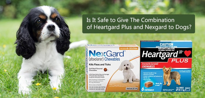 can you give Heartgard and Nexgard at the same time?