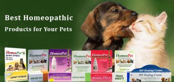 Best Homeopathic Products for Your Pets