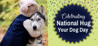 Celebrating National Hug Your Dog Day