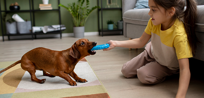 Interesting activities for pets on thanksgiving