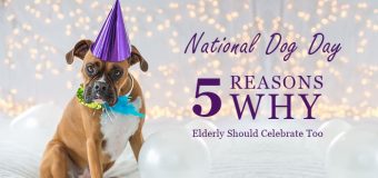 National Dog Day: 5 Reasons Why Elderly Should Celebrate Too