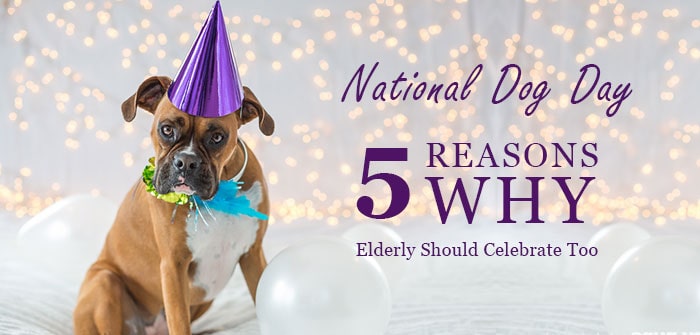 5 Reasons Why Elderly Should Celebrate Too