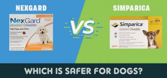 Nexgard VS Simparica – Which is Safer for Dogs?