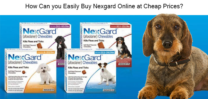 Buy Nexgard online