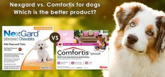 Nexgard vs. Comfortis for dogs: Which is the better product?