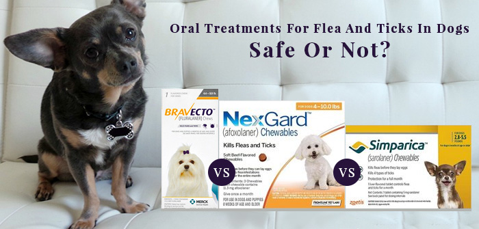Oral Treatments For Flea And Ticks In Dogs